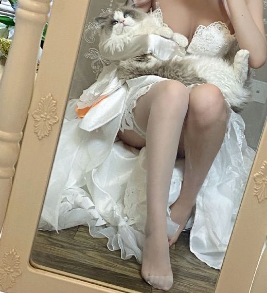 k8在线