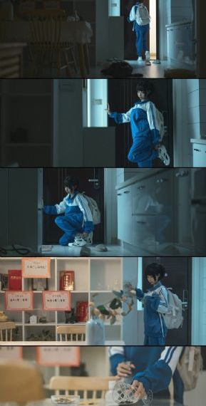 萍踪侠影录