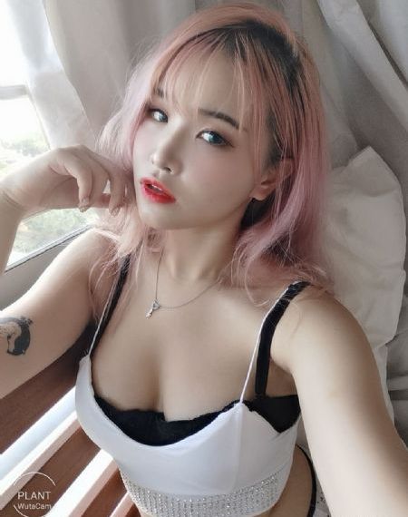 凤凰情