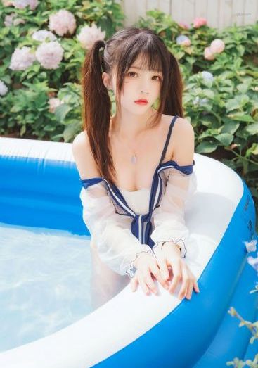 夜间的狐狸