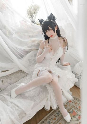 拒绝再战