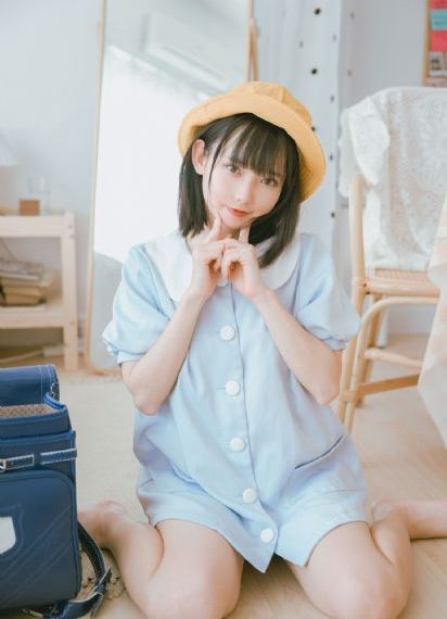 拉布拉多警长