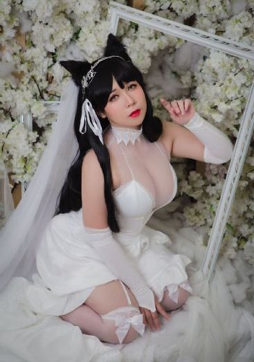 蛋蛋