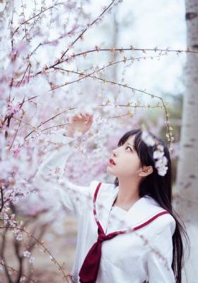 万岁老妈